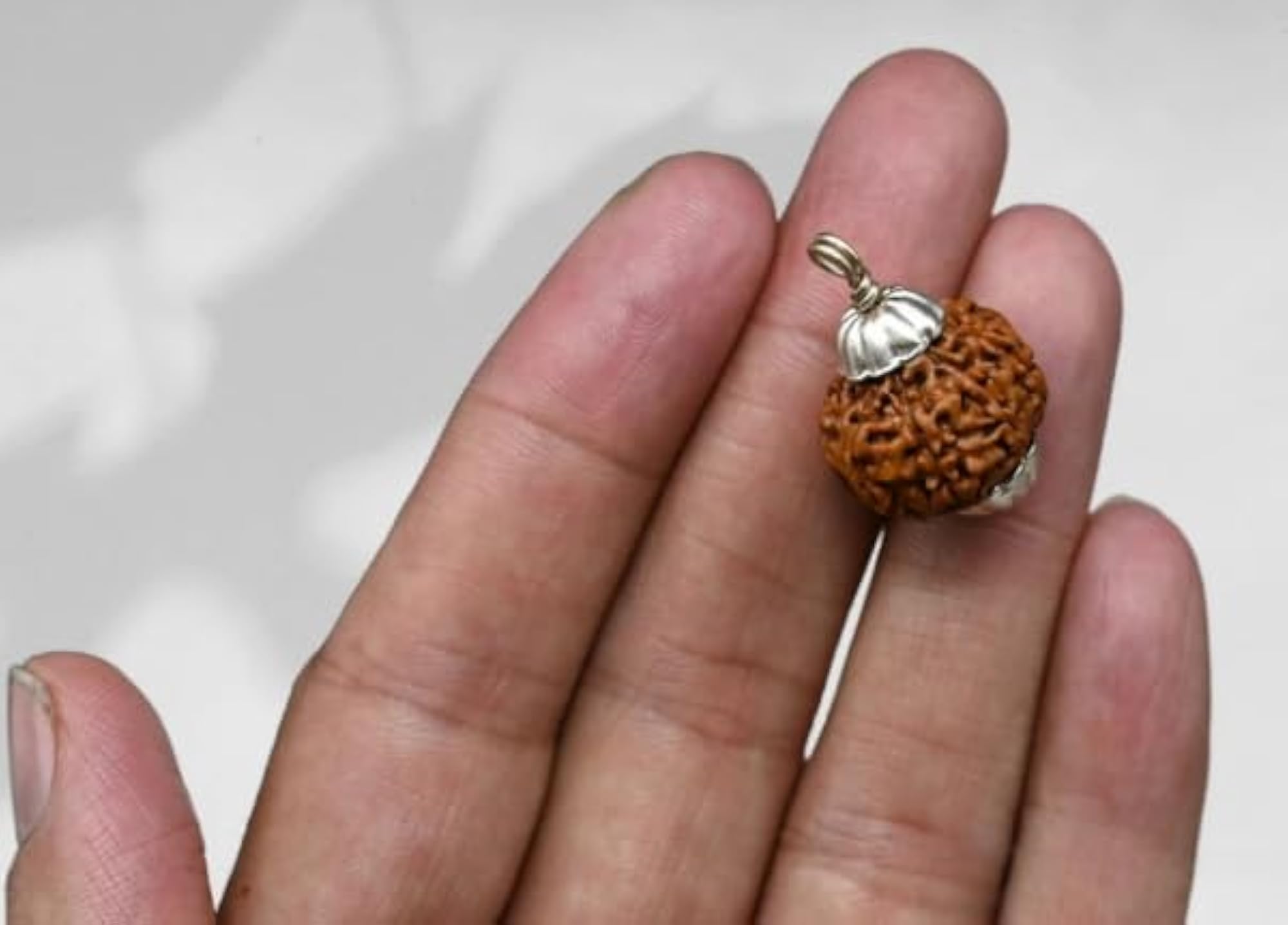 8 Mukhi Rudraksha Pendant with Silver Capping, Certified